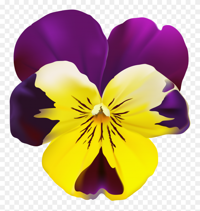 4716x5000 Violet Flower Transparent Png Clip - Purple Flower PNG