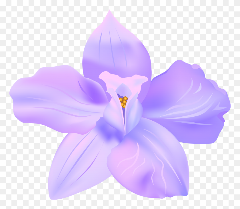 8000x6884 Фиолетовый Весенний Цветок Декоративная Прозрачная Галерея - Весенние Цветы Png