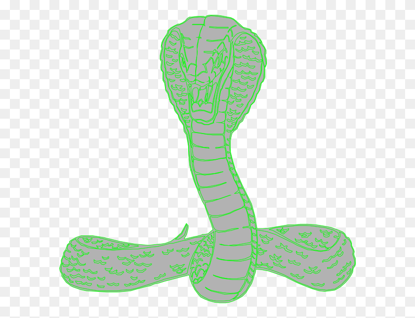 600x583 Viper Snake Clip Art - Viper Clipart
