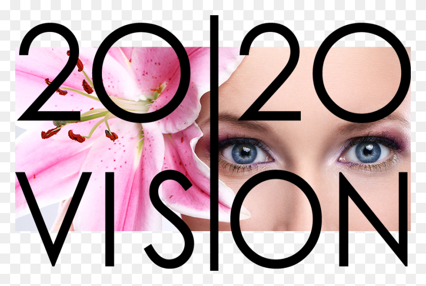 899x581 Vision Eyes On Cancer - Clipart De Ojos Mirando Hacia Arriba