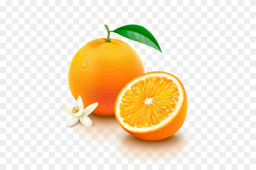 500x500 Vitamin C Free Png Image - Grapefruit PNG