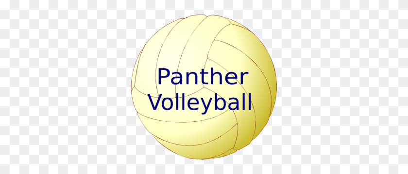300x300 Volleyball Clip Art - Water Polo Ball Clipart