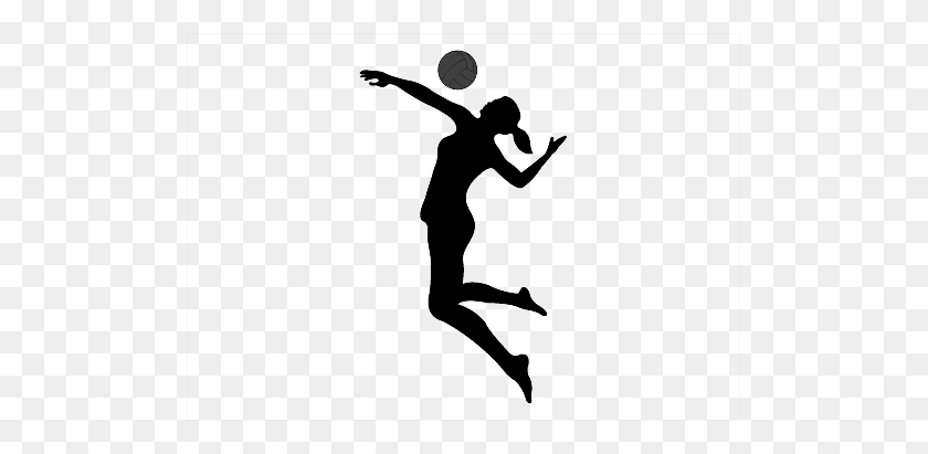 501x351 Volleyball Png Images Transparent Free Download - Volleyball PNG