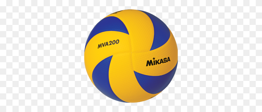 300x300 Volleyball Png Transparent Images - Volleyball PNG
