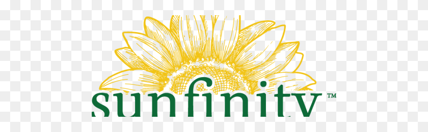 480x200 Vote Sunfinity Sunflowers For Greenhouse Grower's Reader's Choice - Sunflower Clipart Transparent