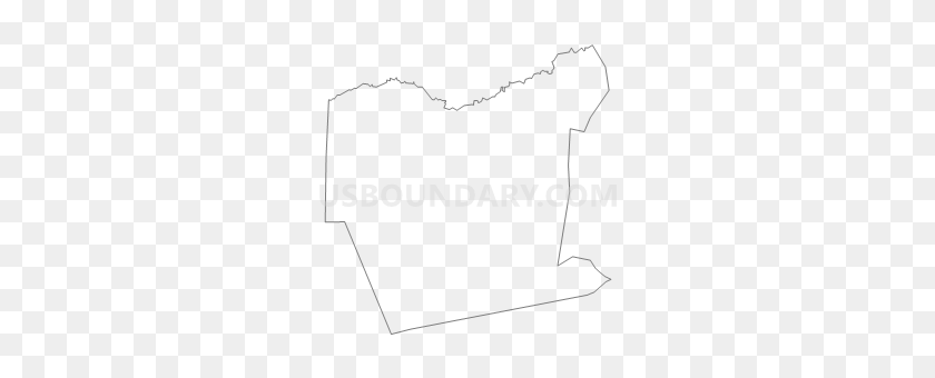 280x280 Voting District - Georgia Outline PNG