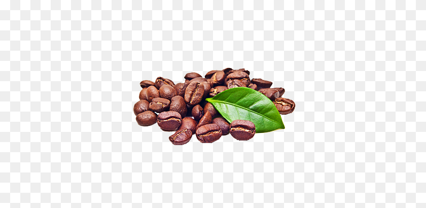 350x350 Vqm Our Vqm Coffee Packaging Solutions - Coffee Bean PNG