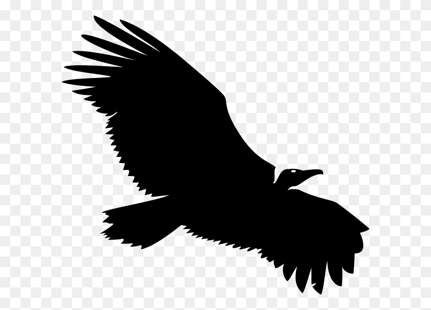 600x544 Vulture Logo Clip Art - Vulture PNG