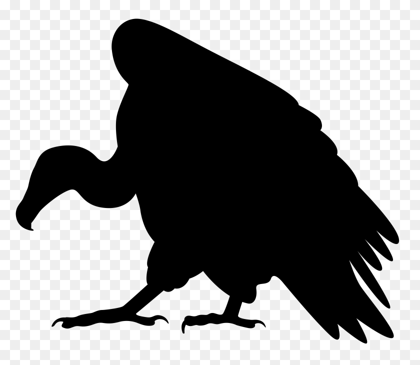 8000x6874 Vulture Silhouette Png Clip Art - Vulture PNG