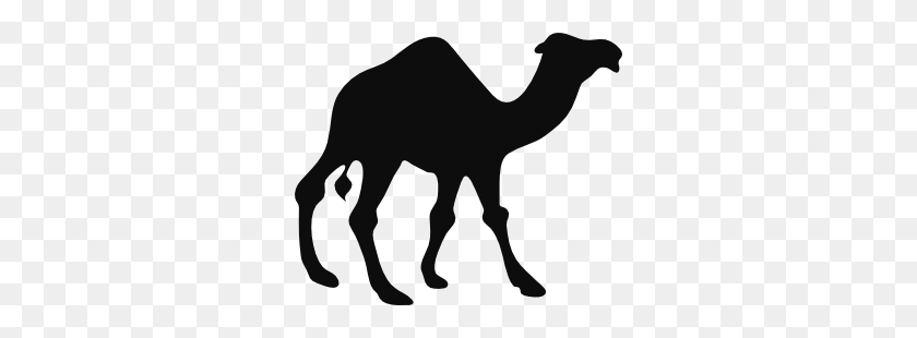 300x250 Caminando Camello Clipart - Walking Clipart Blanco Y Negro