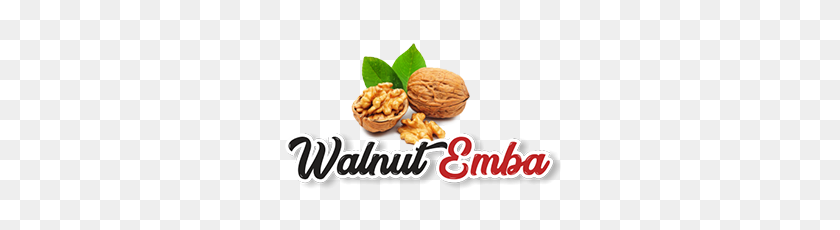 283x170 Walnut Kernel, Walnuts In Shell, Pumpkin Seeds Walnutemba - Walnuts PNG