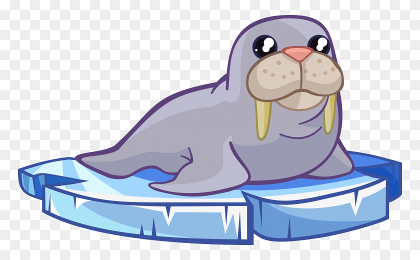 768x460 Walrus Free To Use Cliparts - Walrus Black And White Clipart