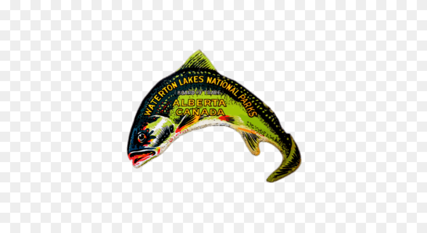 400x400 Wapusk National Park Round Sticker Transparent Png - Bass Fish PNG