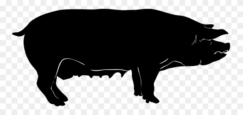 755x340 Warman Veterinary Services In Saskatoon, Sk - Black And White Clipart Pig