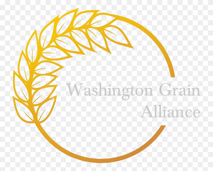 743x615 Washington Grain Alliance - Grano Png