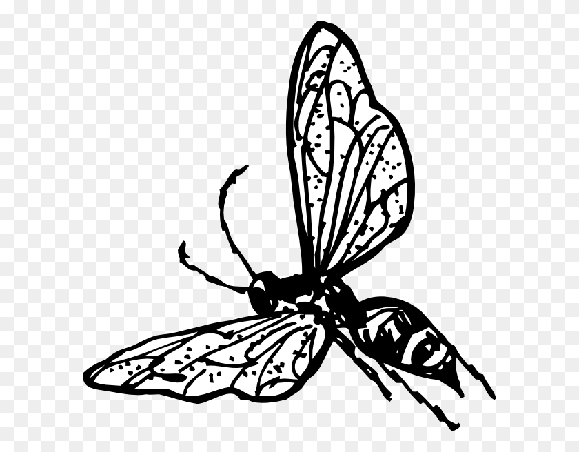 600x596 Wasp Clip Art Free Vector - Lobster Clipart Black And White