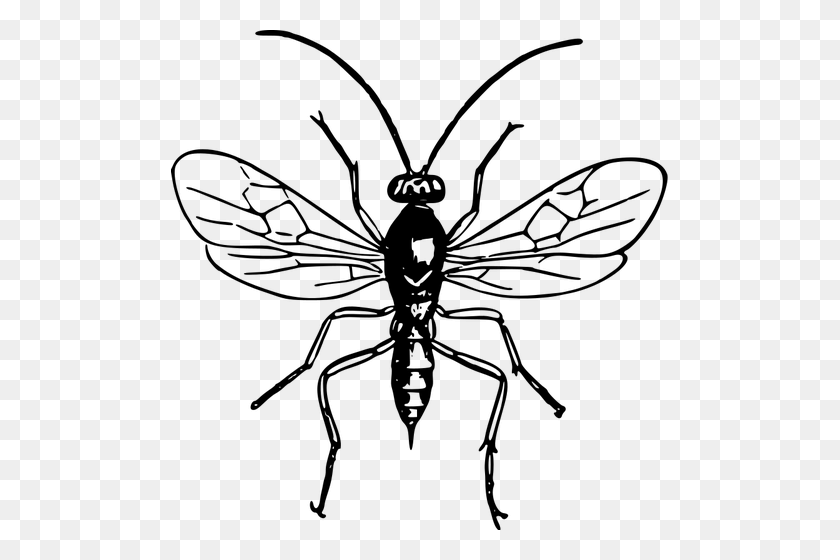 497x500 Wasp Image - Hornet Clipart Black And White