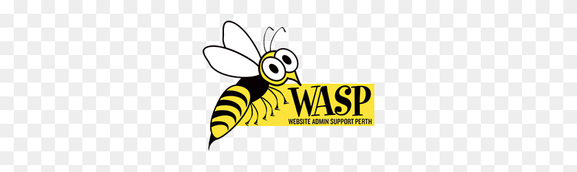 250x190 Soporte De Administrador Del Sitio Web De Wasp Perth - Wasp Png