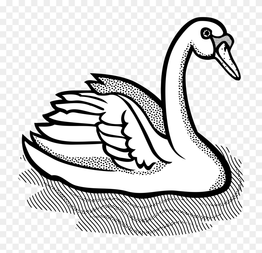 774x750 Water Bird Computer Icons Drawing Encapsulated Postscript Free - Water Black And White Clipart