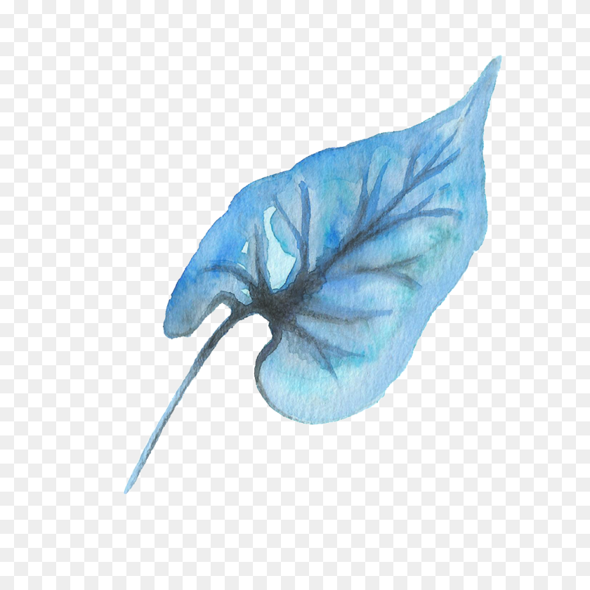 1024x1024 Water Blue Leaf Transparent Png Free Png Download Png Vector - Blue Watercolor PNG