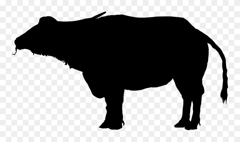 1024x576 Water Buffalo Silhouette Drawing Clip Art - Baby Elephant Clipart Black And White