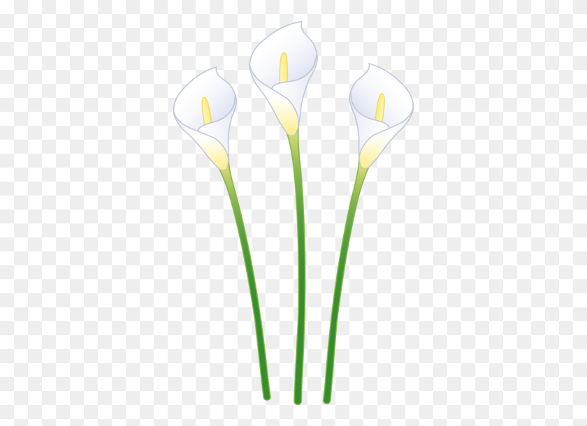 344x550 Water Lily Clip Art - Easter Church Clipart