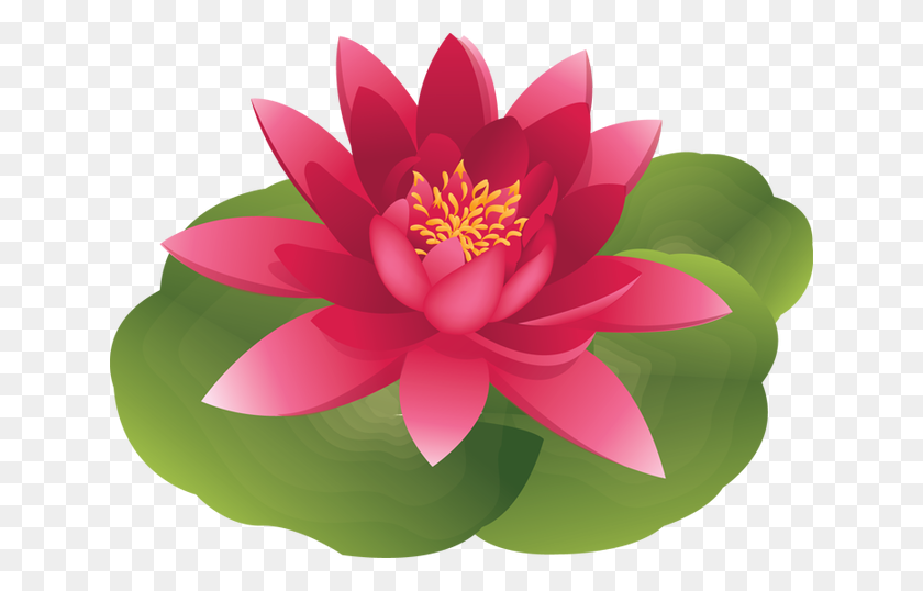 Water Lily Clipart Lily Pad Lily Pad Clipart Stunning Free Transparent Png Clipart Images Free Download