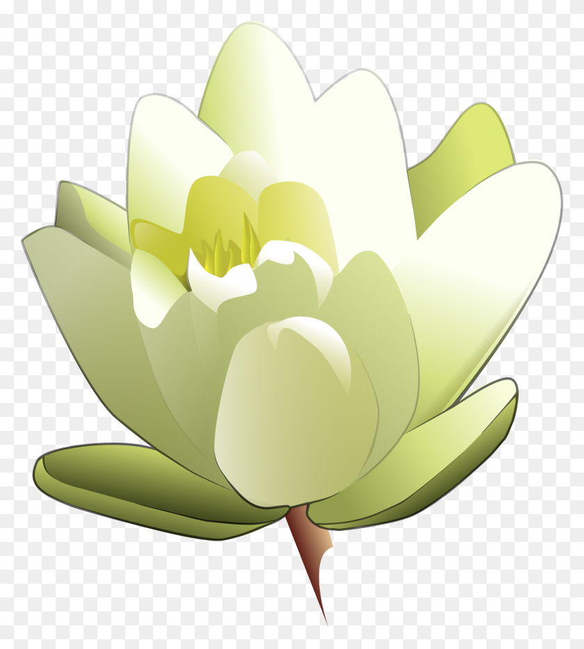 2141x2400 Water Lily Icons Png - Water Lily PNG