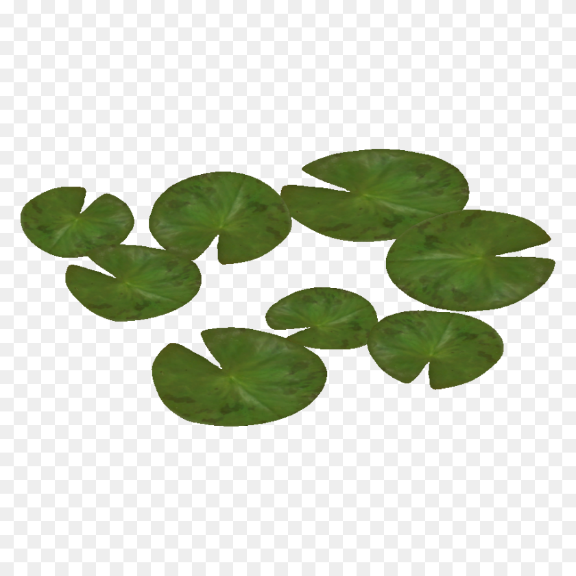 846x846 Water Lily Png Pic - Calla Lily PNG