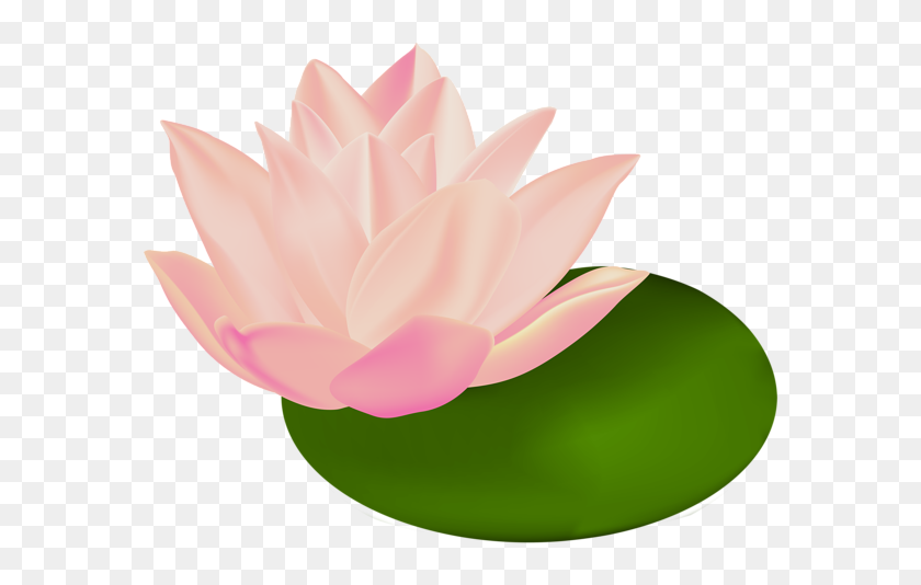 600x474 Water Lily Transparent Clip Art Image Aa Flores - Peony Clipart
