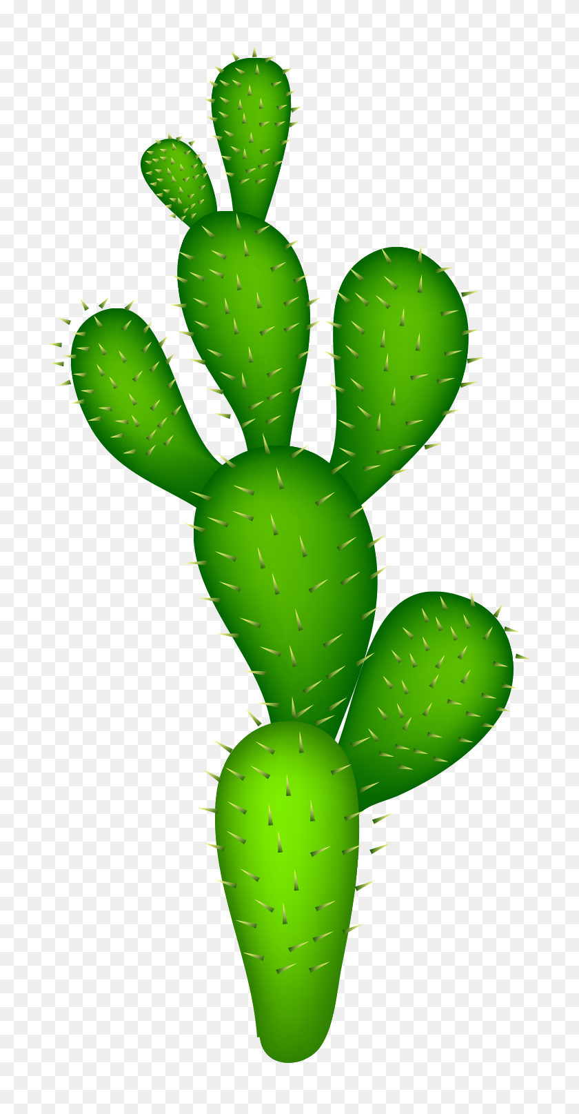 700x1555 Acuarela De Cactus, Cactus Illustrator, Material De Cactus, Desierto - Acuarela Cactus Png