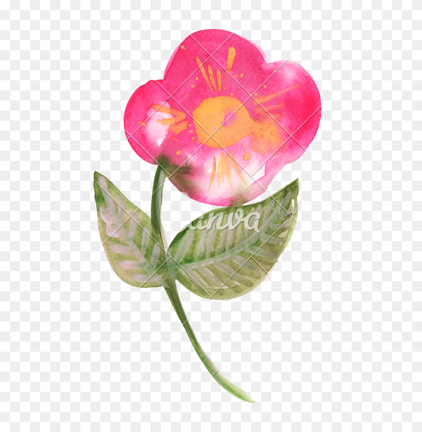 484x800 Watercolor Flower Bud - Pink Watercolor Flowers PNG