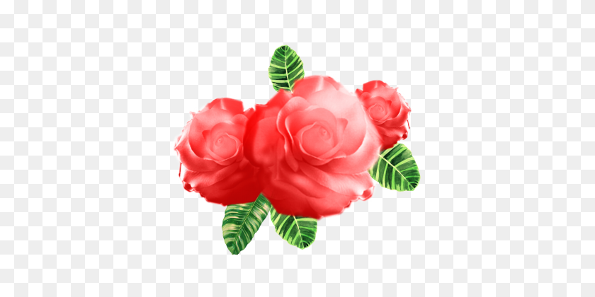 360x360 Watercolor Flower Vector Png, Vectors, And Clipart For Free - Watercolor Roses PNG