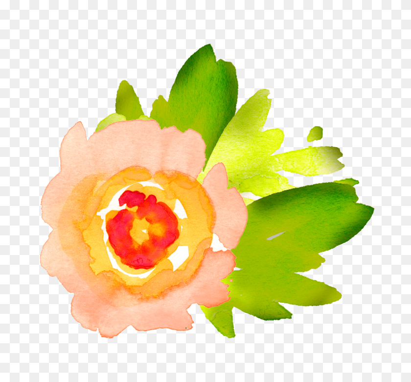 1515x1398 Акварельные Цветы На Прозрачном Фоне, Садовый Цветок - Акварельные Цветы Png