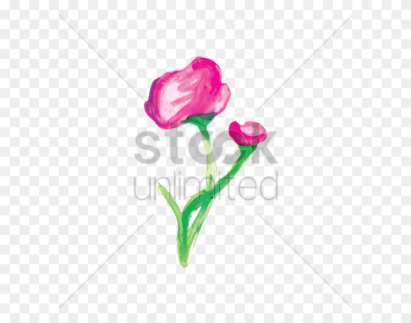 600x600 Акварельные Цветы Векторное Изображение - Розовые Акварельные Цветы Png