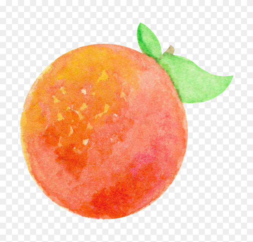 1024x978 Watercolor Hand Painted One Orange Transparent Fruit Png Free - Fruit PNG