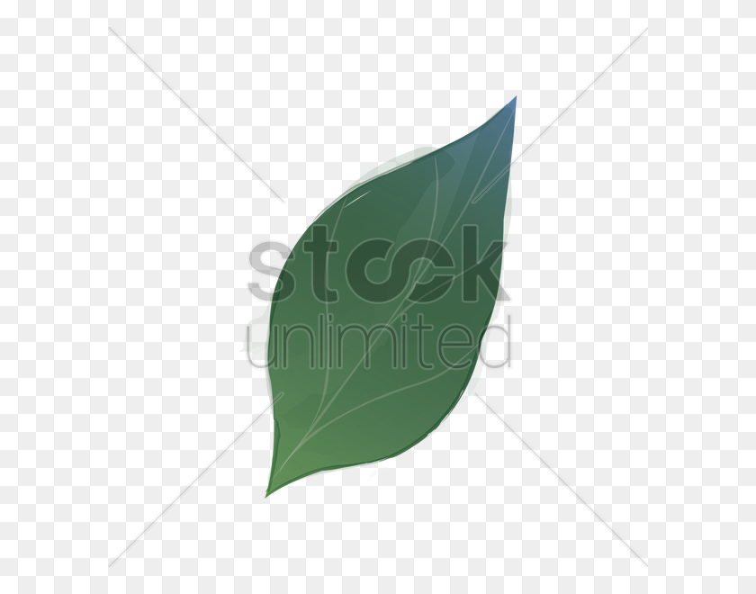 600x600 Watercolor Leaf Vector Image - Watercolor Leaf PNG