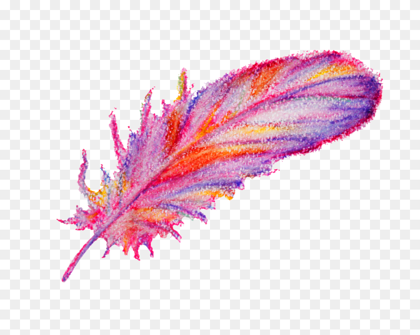 1024x803 Watercolor Painting Feather Transparent Decorative Free Png - Watercolor Texture PNG