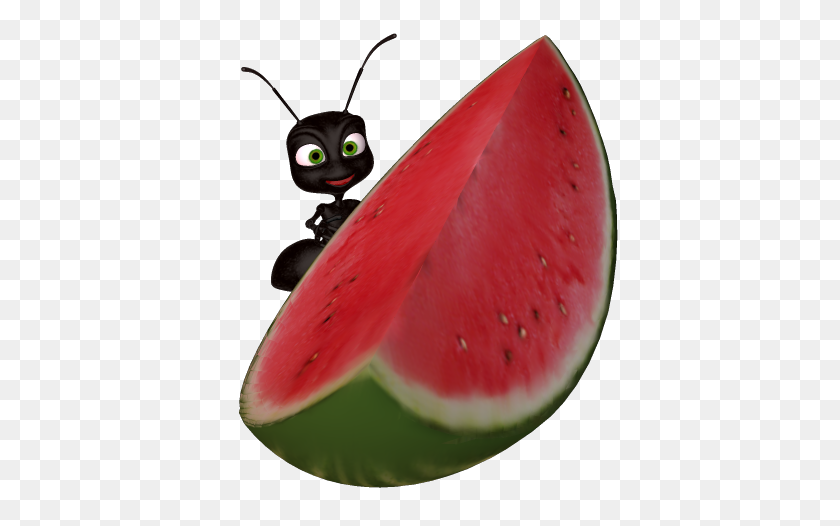 417x466 Watermelon Clip Art - Eating Food Clipart