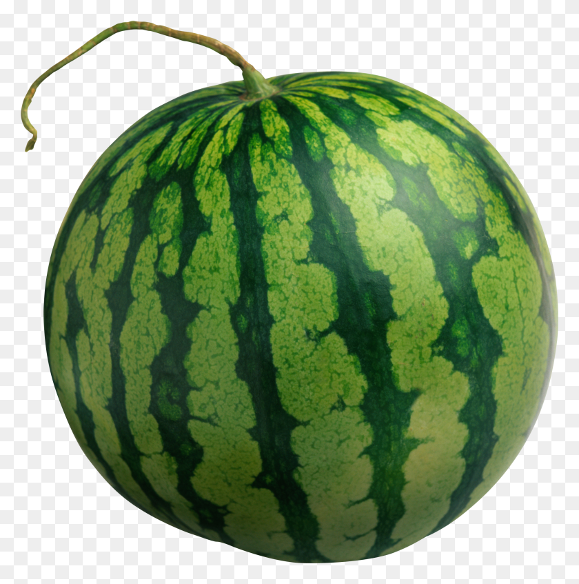 2425x2448 Watermelon Png Images, Free Download - Melon PNG