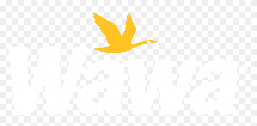 1023x461 Wawa Logo - Wawa Logo PNG
