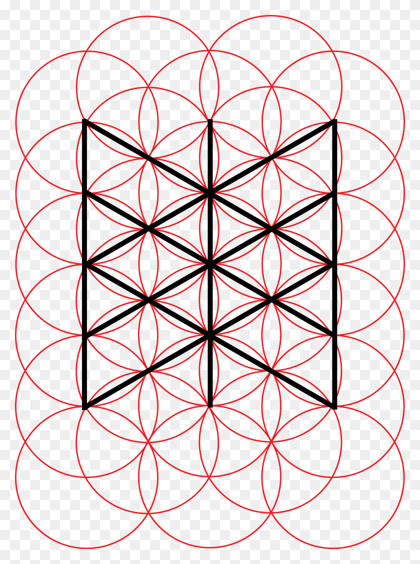 2298x3147 Web Of Wyrd And Flower Of Life Lauri Wild - Flower Of Life PNG