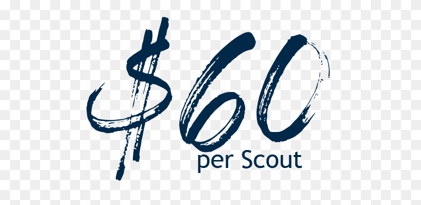 500x350 Webelos Adventure Hollow Boy Scouts Of America - Logotipo De Boy Scout Png