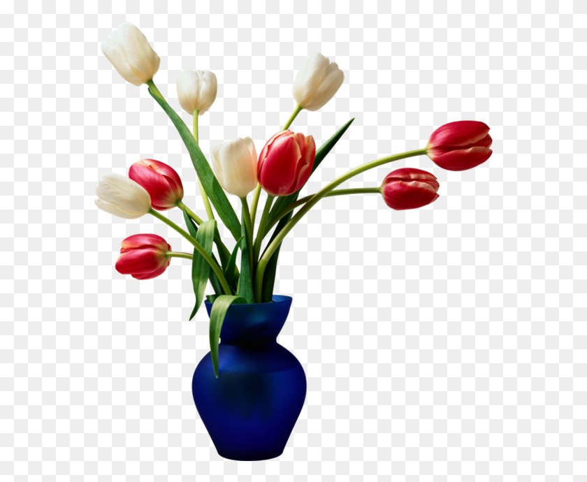 571x630 Wedding Dress Desktop Wallpaper Tulip Flower - Wedding Flowers PNG