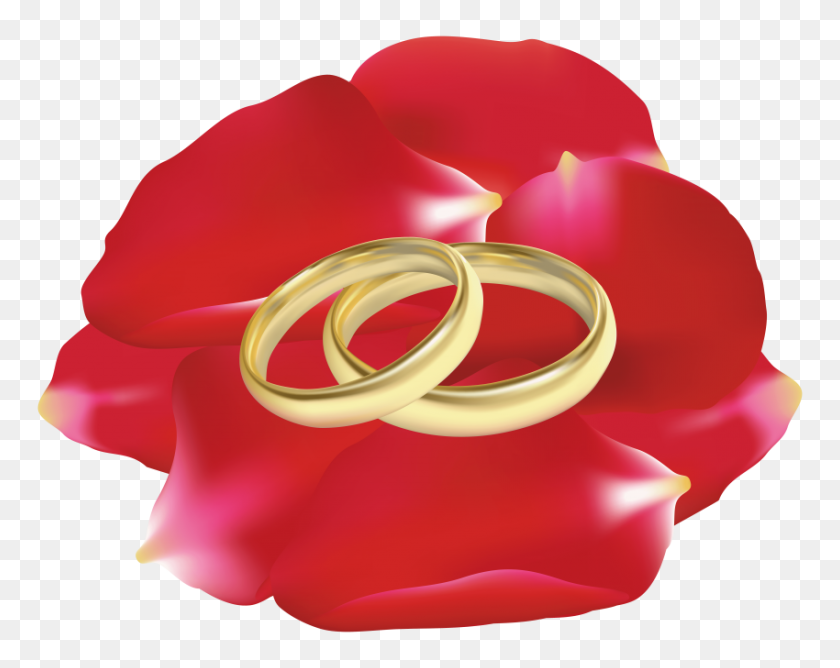 850x663 Wedding Rings In Rose Petals Png - Rose Petal PNG