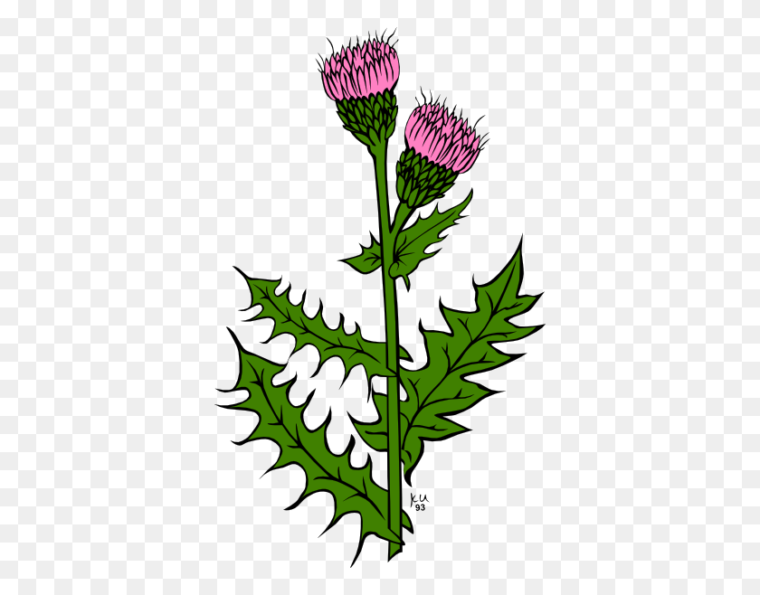 366x598 Weed Clip Art - Weed Leaf Clipart
