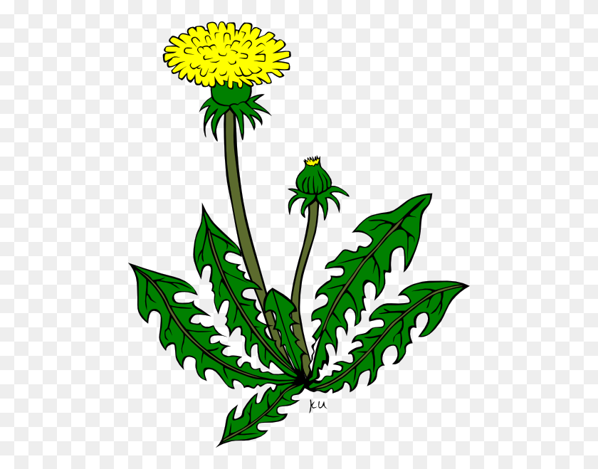 480x599 Weed Clip Art - Flower With Leaves Clipart