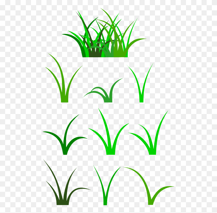 512x762 Hierba Clipart Grasss - Hierba Png Transparente