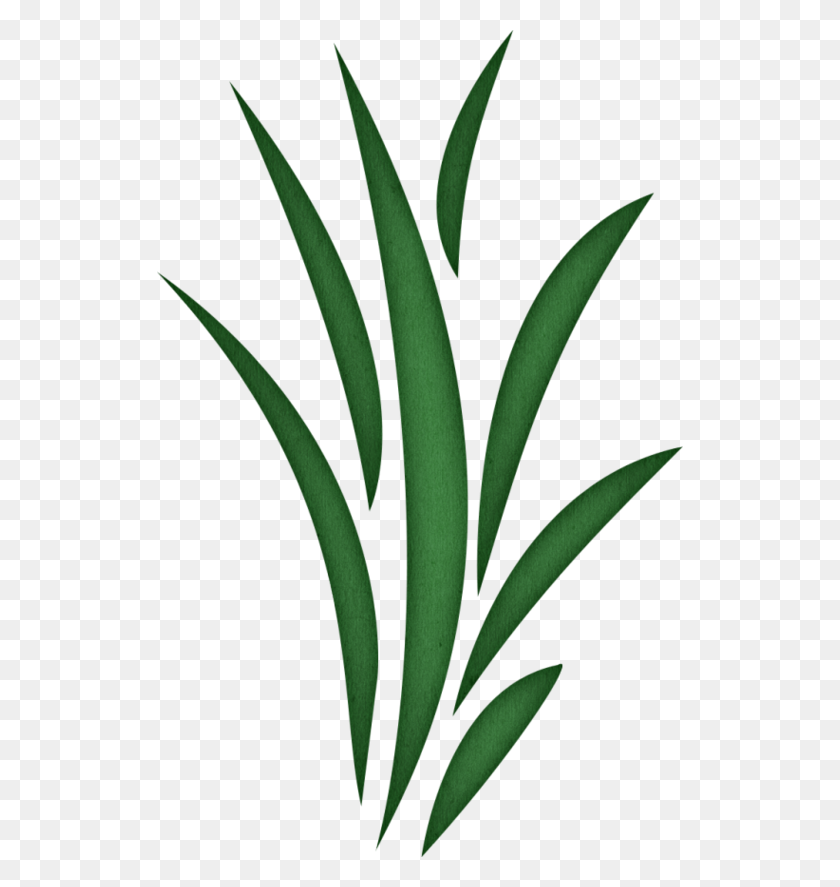 526x827 Weed Clipart Sea Grass - Weed Plant Clipart