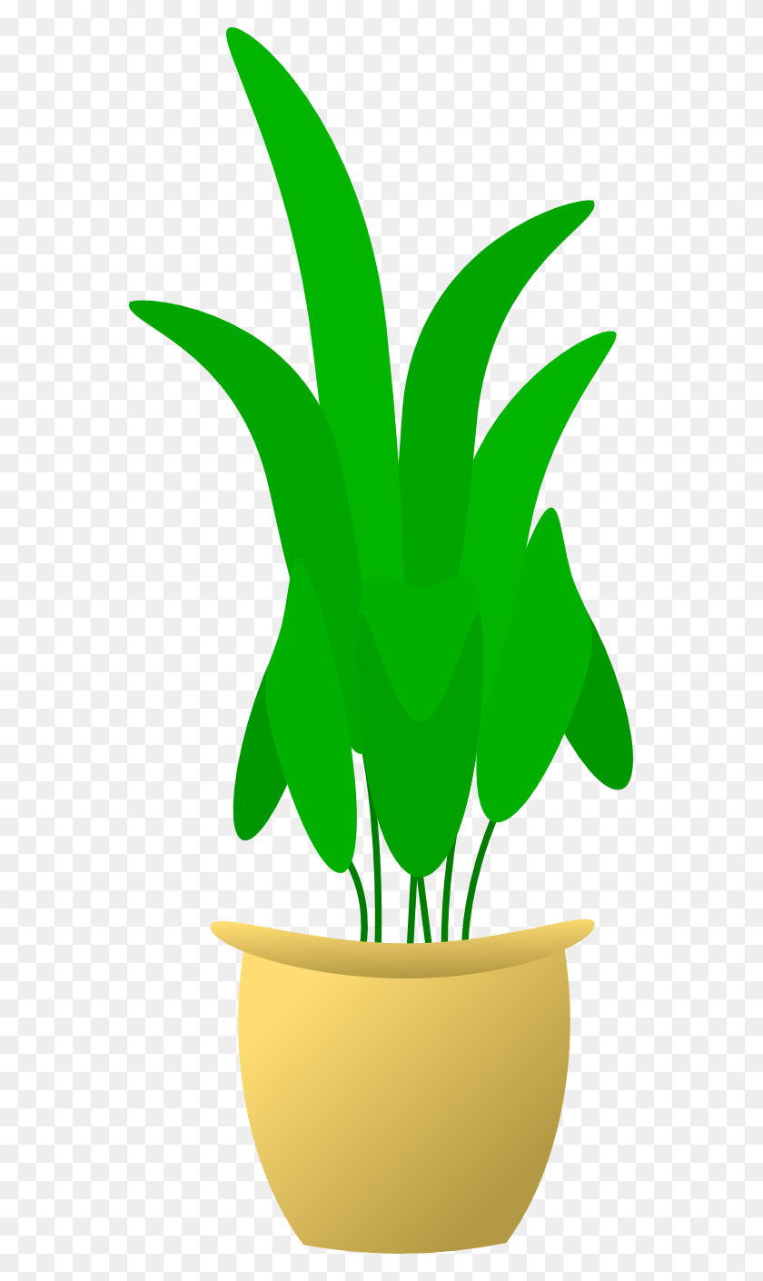 555x1350 Weed Plant Cartoon Image Group - Close Eyes Clipart